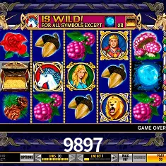 Descubra o Mundo do Cassino Online com 9897